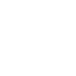 Programas Académicos